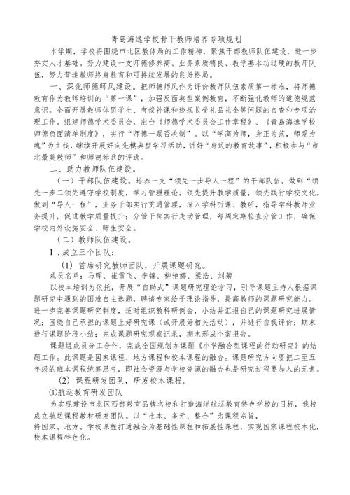 青岛海逸学校骨干教师培养专项规划.docx