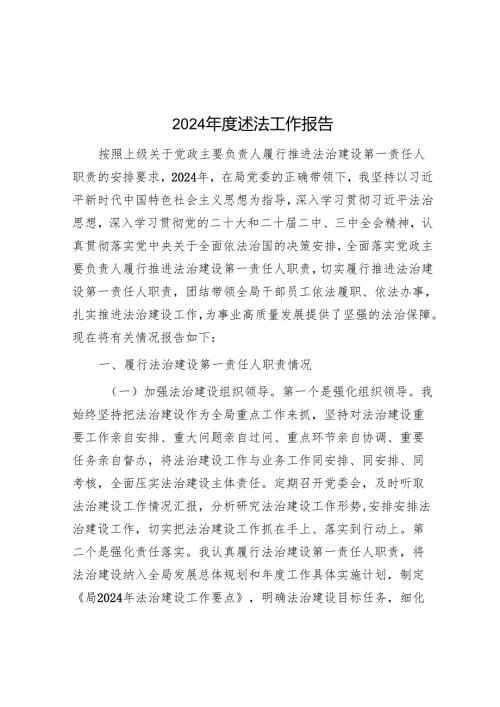 2024年度述法工作报告.docx