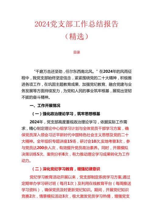 2024党支部工作总结报告（精选）.docx