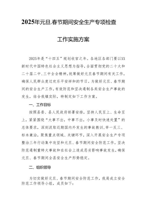 2025年国企开展《元旦、春节期间安全生产专项检查》工作方案 （4份）_76.docx