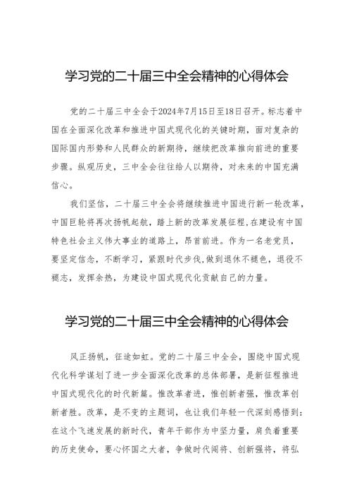 学习二十届三中全会精神心得体会简短发言36篇.docx