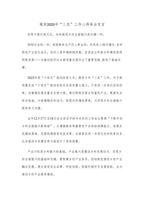 做好2025年“三农”工作心得体会发言.docx