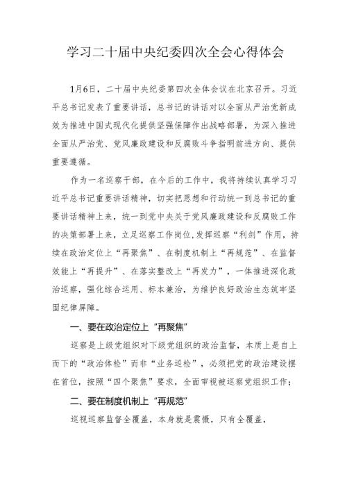 纪检干部学习二十届中央纪委四次全会个人心得体会 （合计17份）.docx