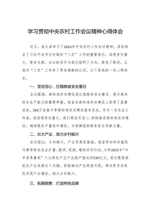 五篇村干部学习贯彻2024年中央农村工作会议精神的心得体会.docx