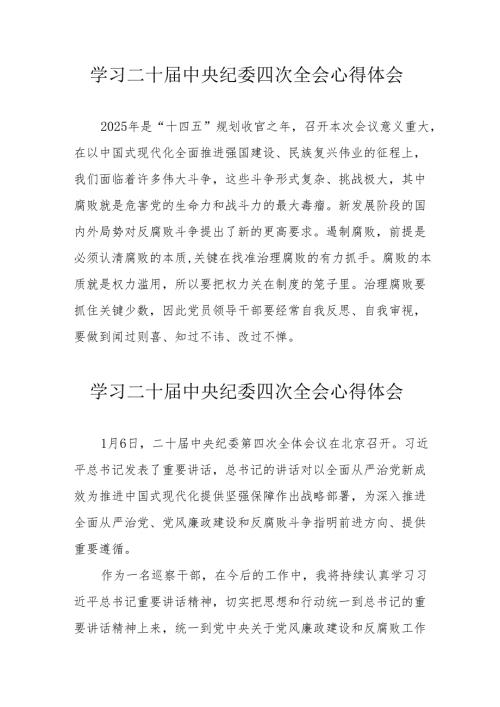 学习二十届中央纪委四次全会个人心得体会 （汇编16份）.docx