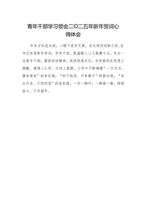 青年干部学习领会二〇二五年新年贺词心得体会.docx
