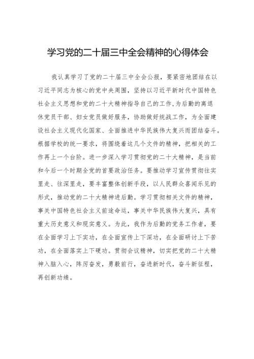 二十届三中全会精神学习体会研讨发言材料范文36篇.docx