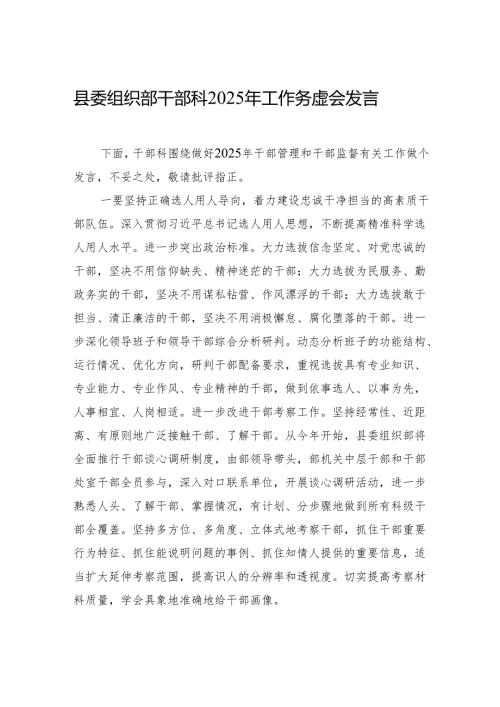 县委组织部干部科2025年工作务虚会发言.docx