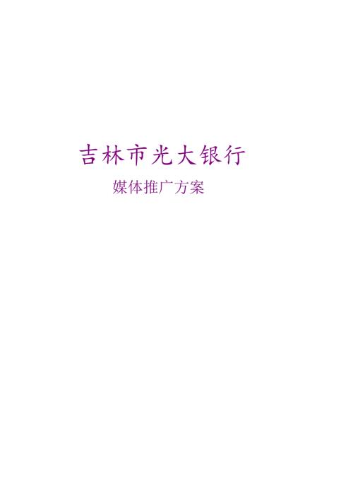独立完成光大银行宣传定案.docx