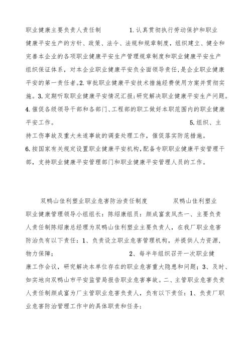 职业健康主要负责人责任制.docx