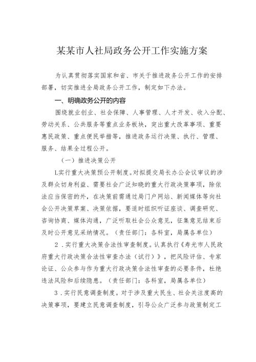 某某市人社局政务公开工作实施方案.docx
