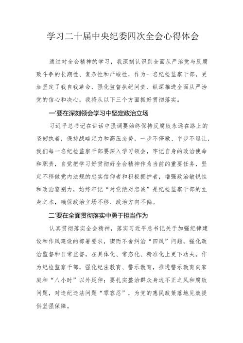 学习二十届中央纪委四次全会个人心得体会 （合计16份）.docx