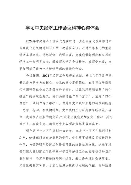 统计所学习贯彻2024年中央经济工作会议精神心得体会3篇.docx