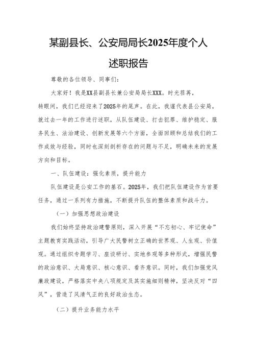某副县长、公安局局长2025年度个人述职报告.docx
