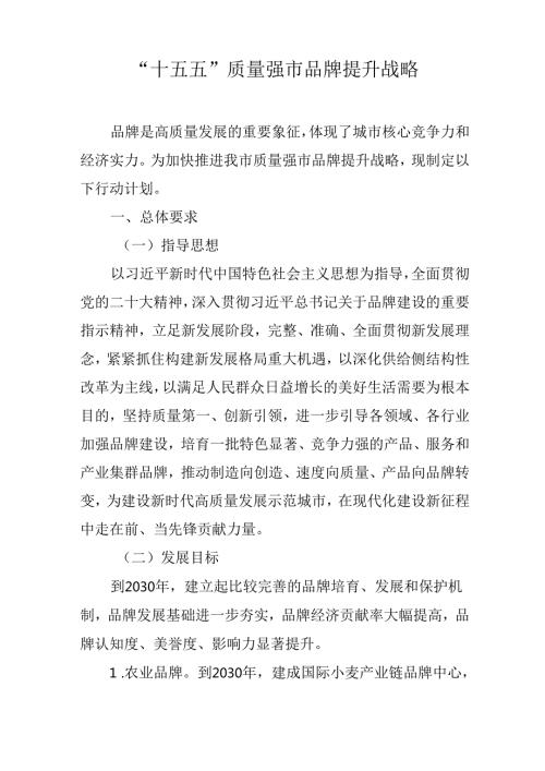 “十五五”质量强市品牌提升战略.docx
