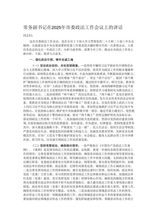 常务副书记在2025年市委政法工作会议上的讲话.docx