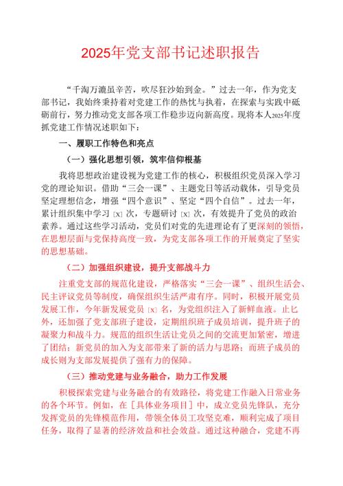 2025年党支部书记述职报告 .docx