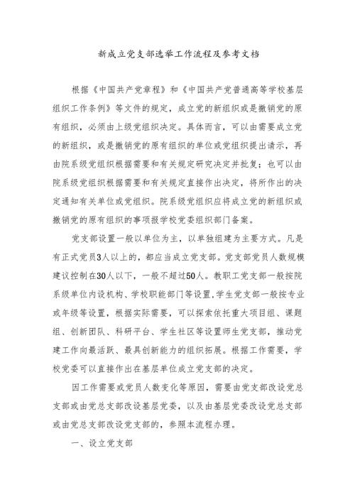 新成立党支部选举工作流程及参考文档.docx