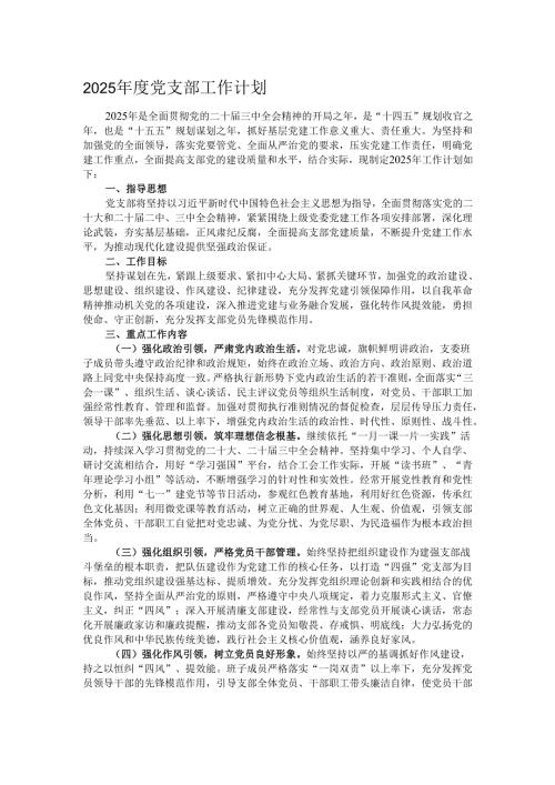 2025年度党支部工作计划.docx