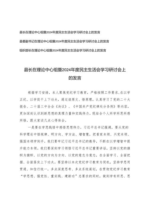 2025年2月 在理论中心组暨2024年度民主生活会学习研讨会上的发言（汇编）.docx