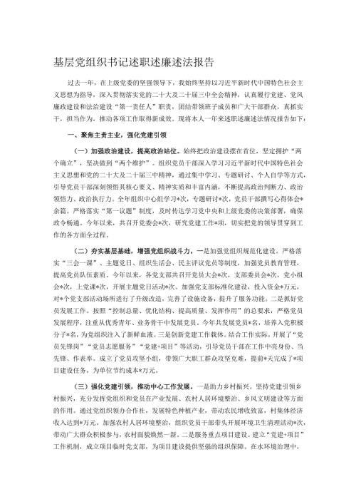 基层党组织书记述职述廉述法报告.docx