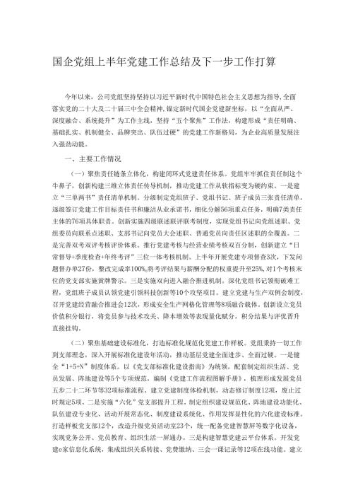 国企党组上半年党建工作总结及下一步工作打算.docx