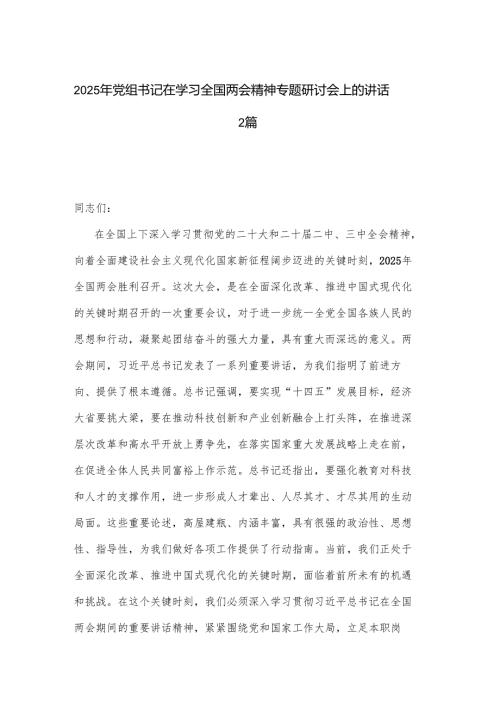 2025年党组书记在学习全国两会精神专题研讨会上的讲话2篇.docx