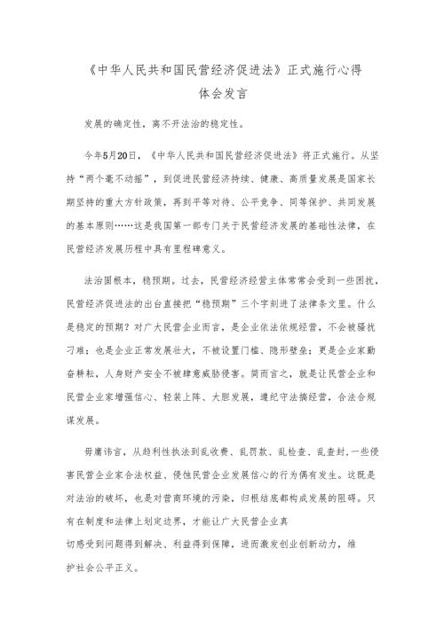 《中华人民共和国民营经济促进法》正式施行心得体会发言.docx