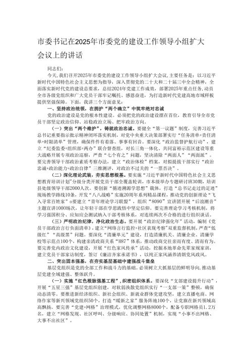 市委书记在2025年市委党的建设工作领导小组扩大会议上的讲话.docx