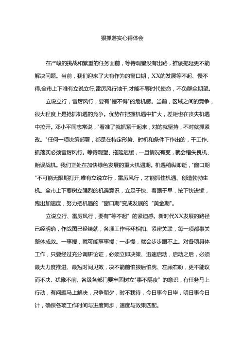 狠抓落实心得体会.docx