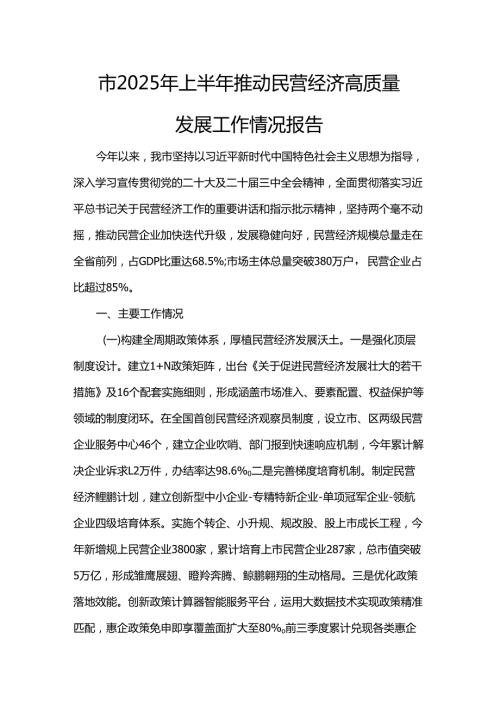 市2025年上半年推动民营经济高质量发展工作情况报告.docx