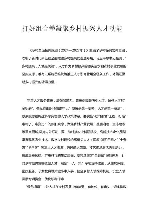 打好组合拳 凝聚乡村振兴人才动能.docx