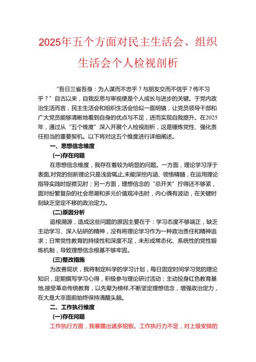 2025年五个方面对民主生活会、组织生活会个人检视剖析.docx