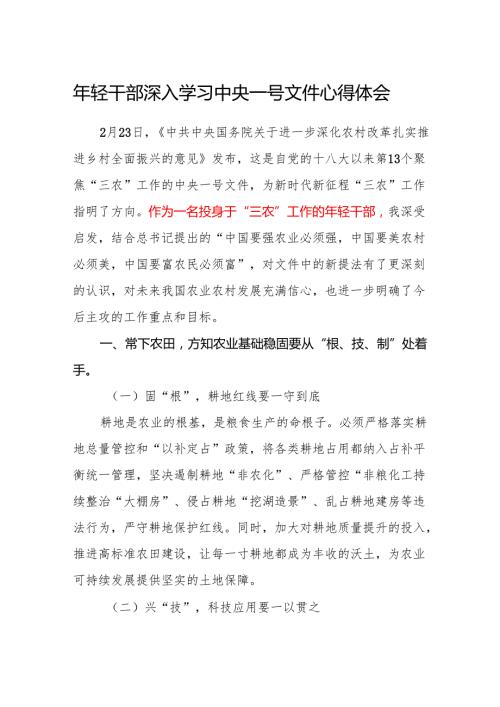 年轻干部深入学习2025年中央一号文件心得体会感想.docx