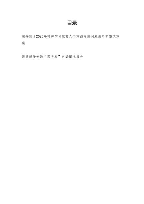 领导班子2025年精神学习教育九个方面专题问题清单和整改方案和班子“回头看”自查情况报告.docx