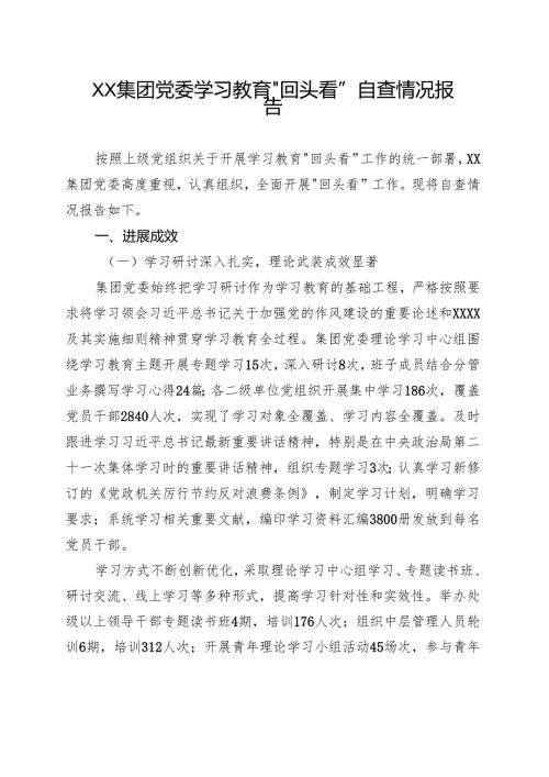 领导班子2025年度学习教育”回头看”自查报告（及部署讲话内容）（多篇）.docx