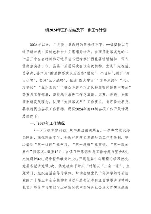 镇2024年工作总结及下一步工作计划.docx