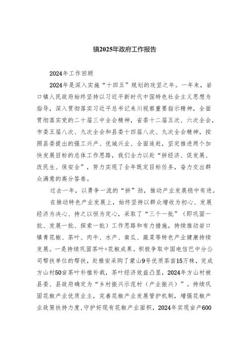 镇2025年政府工作报告.docx